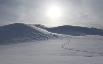 The Difference Between Who You Think You Should Be vs Your Authentic Self